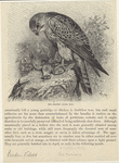 Image ID 820644