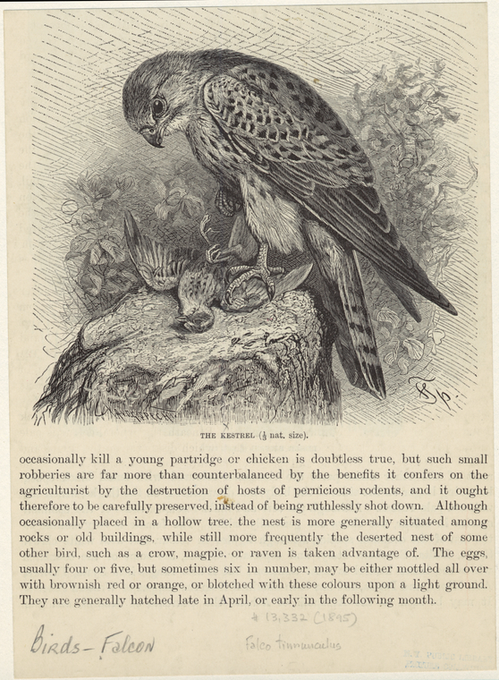 Image ID 820644
