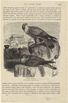 Image ID 820646