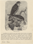 Image ID 820647
