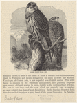 Image ID 820650
