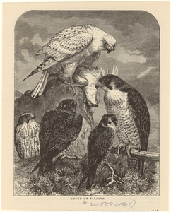 Image ID 820653