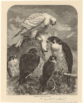 Image ID 820653