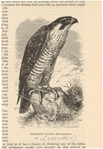 Image ID 820654