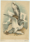 Image ID 820657