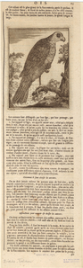 Image ID 820658
