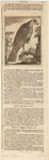 Image ID 820658