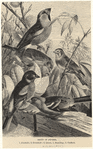 Image ID 820661