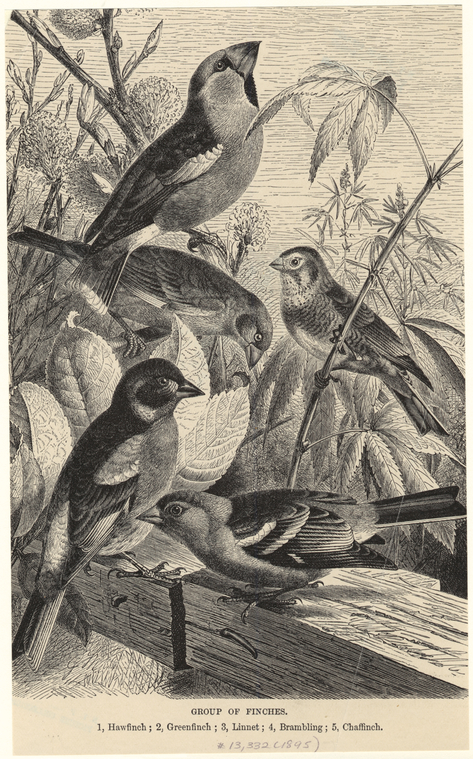 Image ID 820661
