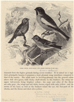Image ID 820662