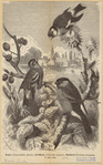 Image ID 820663