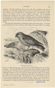 Image ID 820664