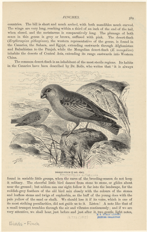 Image ID 820664
