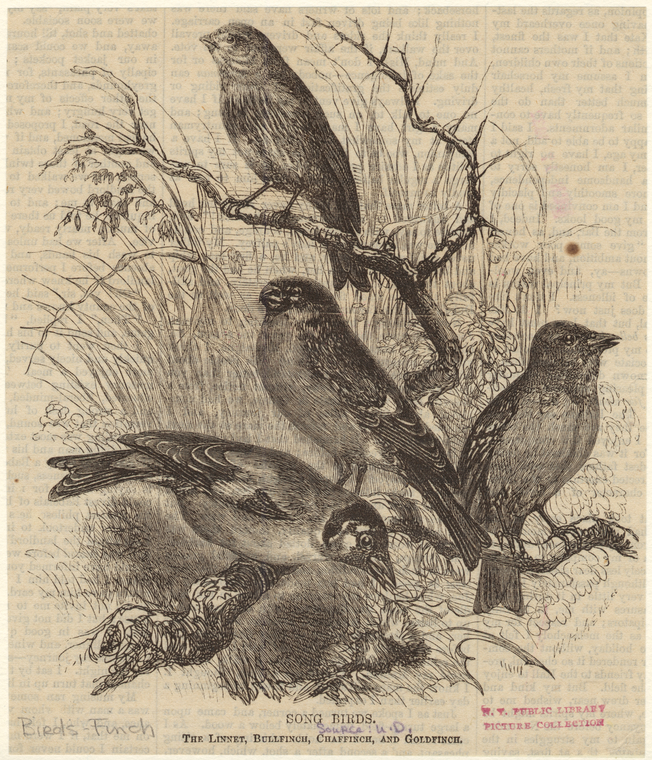 Image ID 820665
