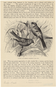Image ID 820666