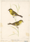 Image ID 820668