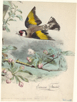 Image ID 820669