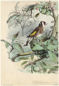 Image ID 820670