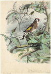 Image ID 820670