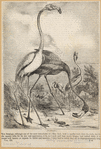 Image ID 820672