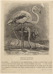 Image ID 820675