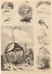 Image ID 820679