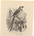 Image ID 820685