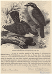 Image ID 820689
