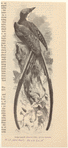 Image ID 820691