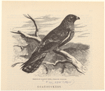 Image ID 820693