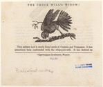 Image ID 820694