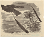Image ID 820698