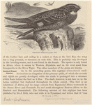 Image ID 820699