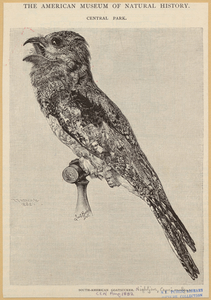Image ID 820703