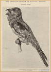 Image ID 820703