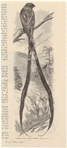 Image ID 820704