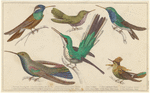 Image ID 820705