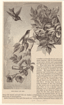 Image ID 820707