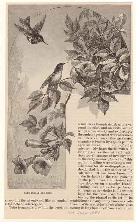 Image ID 820707
