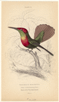 Image ID 820708