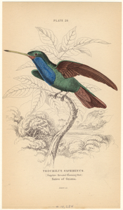 Image ID 820709