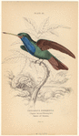 Image ID 820709