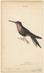 Image ID 820711
