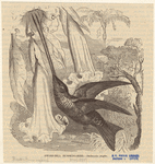 Image ID 820712