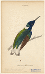Image ID 820714