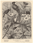 Image ID 820716