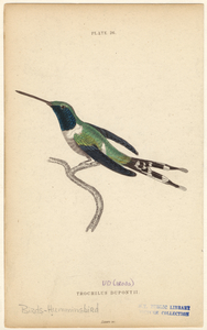 Image ID 820717