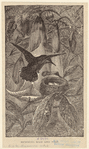 Image ID 820720