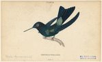 Image ID 820721