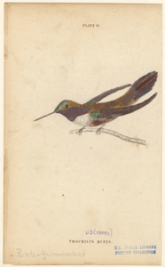 Image ID 820723
